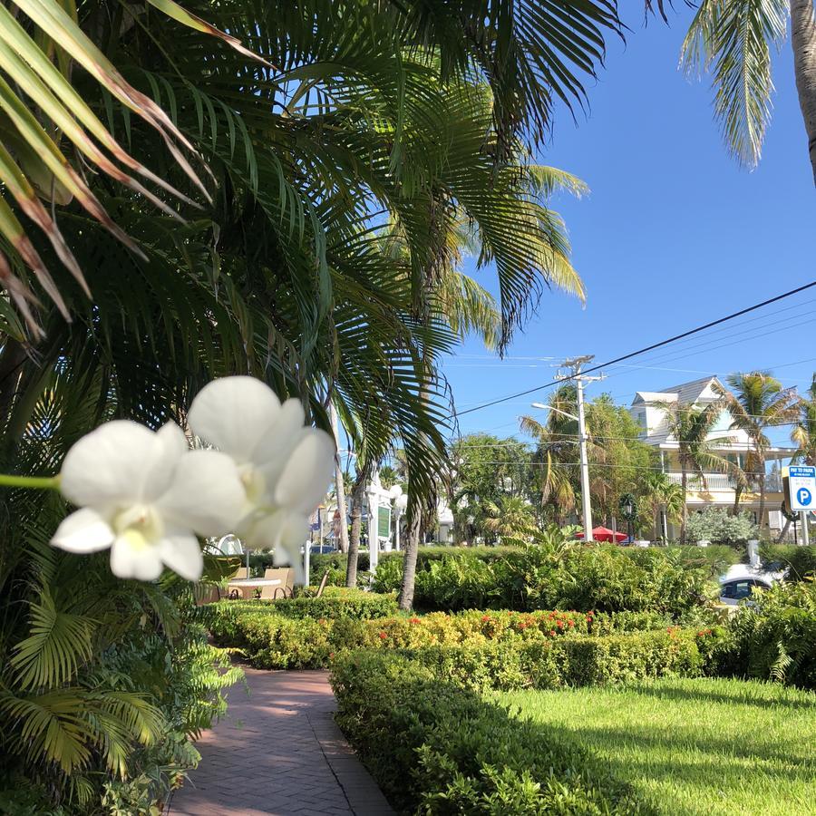 Southernmost Point Guest House & Garden Bar Cayo Hueso Exterior foto